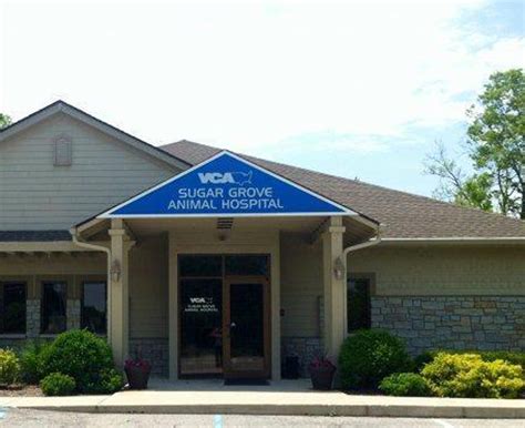 Sugar grove animal hospital - Specialties: Each VCA hospital has health and safety protocols in place based on health care best practices as well as state and local guidance and regulations. Established in 1991. Our friendly, professional staff is made up of dedicated individuals who have made it their mission to help pets live long, healthy lives. To be true to this mission the hospital team relies on several individuals ... 